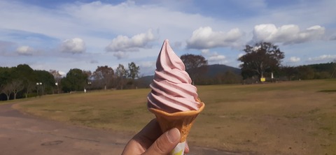 237-220(26-25)るるパーク1111_124728