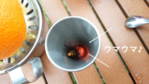 111-96(10-10)くじゅうエイドST190R