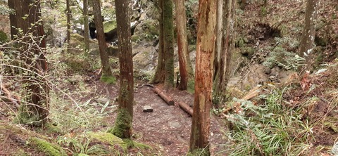 202-186(44-43)八木山渓流公園325_105014