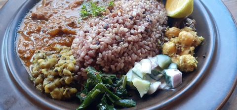 182-166(24-23)長湯きらりキャンプ場1105_125617