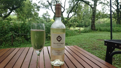 111-96(10-10)くじゅうエイドST173