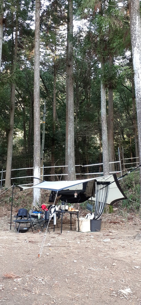 138-123(37-37)sleepy cafe nico22_144409