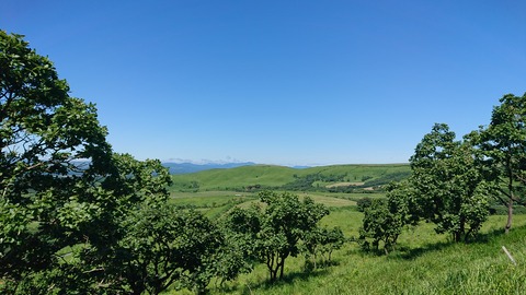 56-45(11-9)久住山荘南登山口C146S