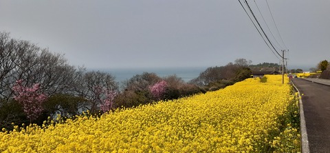 254-235(43-40)長崎鼻リゾート②330_120650