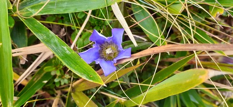 233-216(22-21)9.BASE1014_130919