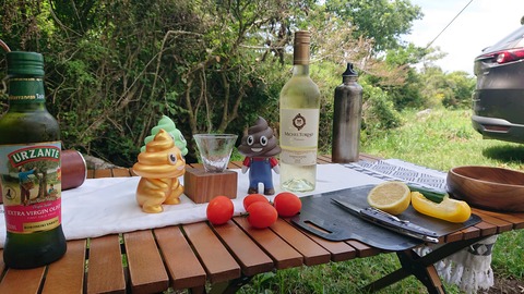 110-95(9-9)高原の里76