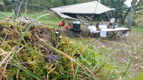 123-108(22-22)カナディアンビレッジ1004