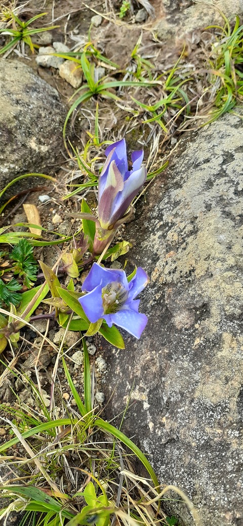 228-211(17-16)登山くじゅう連山910_082335