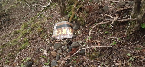 266-247(3-3)天空の杜602_092400