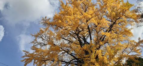 237-220(26-25)るるパーク1111_114653