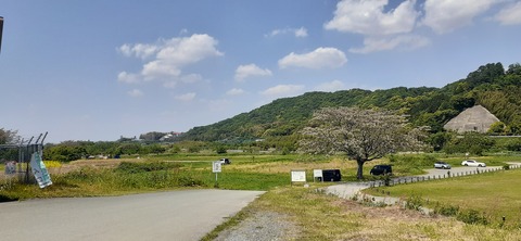 207-191(49-48)津志田河川公園乙女河原501_131459