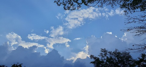 229-212(18-17)竹原牧場916_172224