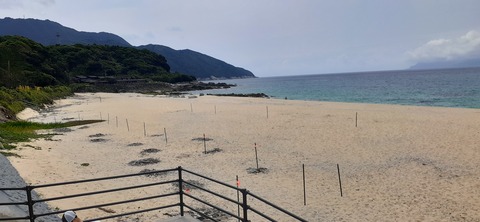 258-239(47-44)オーシャンビュー429_134136