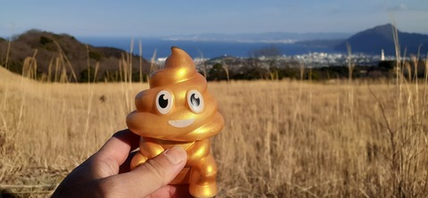 251-232(40-37)伽藍岳ゲリラキャン302_160605