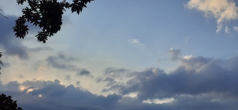 228-211(17-16)泉水キャンプ村909_180414