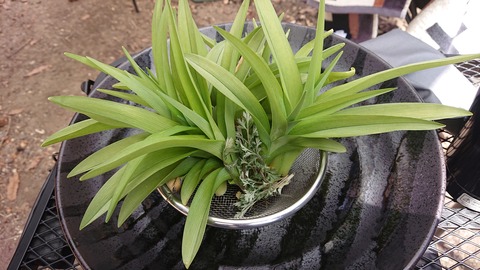 41-33茶屋の原キャンプ場800S