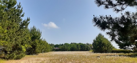 161-146(3-3)内田龍神キャンプ場612_090743