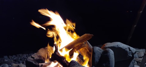 189-173(31-30)大島加代海岸103_182033