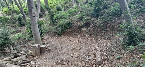 213-197(2-2)レムブランベースC527_132434