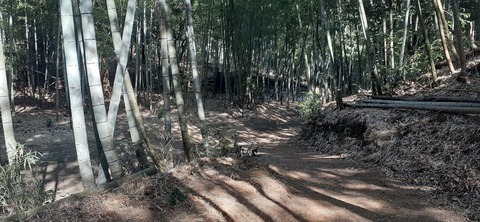 193-177(35-34)峰やしき205_111451