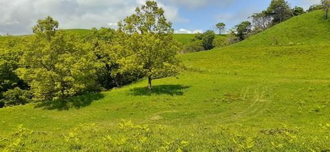 159-144(1-1)遊牧民521_140351