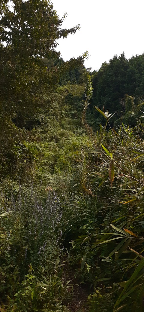 231-214(20-19)牛斬山1001_141428