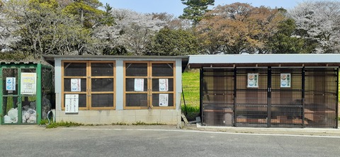 203-187(45-44)長崎鼻リゾートキャンプ場401_134325