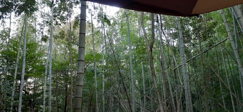 193-177(35-34)峰やしき204_172644