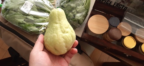 242-225(31-30)トゥーリキャンプサイト1202_090346