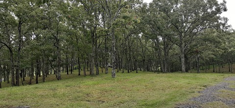 172-157(14-14)くじゅう自然動物園903_112438