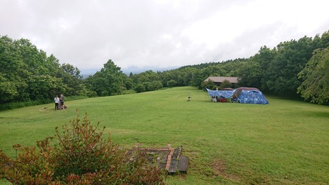 109-94(8-8)スパージュ7954