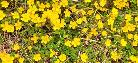 209-193(51-50)えびの高原キャンプ村503_155157