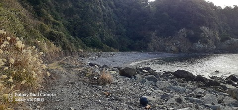 131-116(30-30)大島津和瀬キャンプ場44938