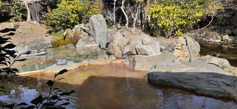 194-178(36-35)ゴンドーシャロレー⑨212_114730