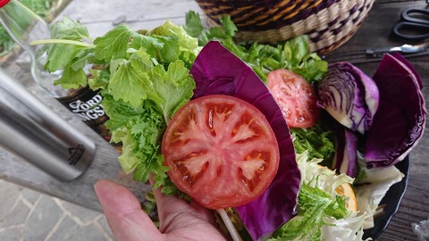 91,92-77,78(46,47-41,42)阿武川河川公園198