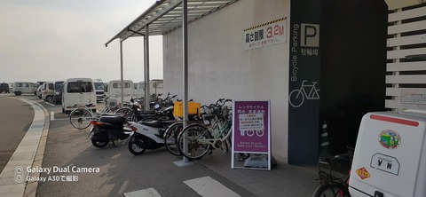 131-116(30-30)大島津和瀬キャンプ場293647