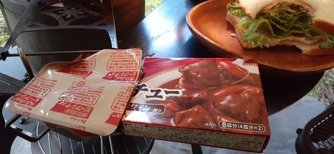 211-195(53-52)猿ヶ城キャンプ場505_182724