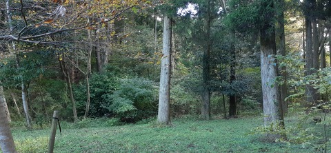 182-166(24-23)長湯きらりキャンプ場1105_132945