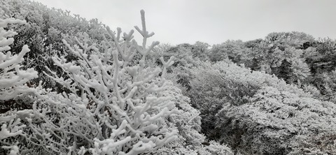 251-232(40-37)法華院温泉山荘2泊目224_101335