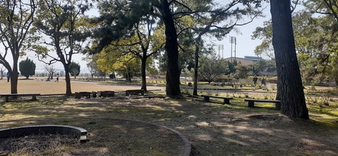 200-184(42-41)糸根地区公園キャンプ場319_142152