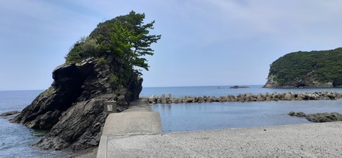 162-147(4-4)下梶寄キャンプ場612_140309