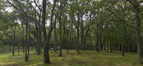 172-157(14-14)くじゅう自然動物園904_093652
