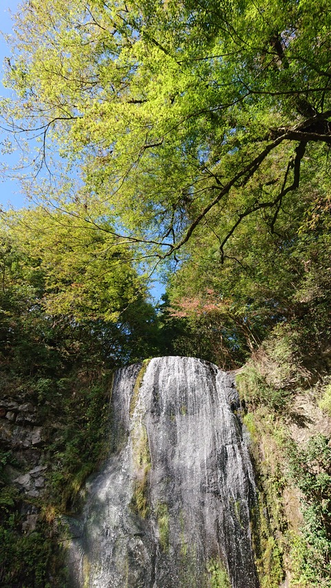 122-107(21-21)阿蘇レインボーバレー834