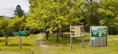 156-141(55-55)鹿川キャンプ場505_130412