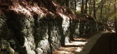 234-217(23-22)広川原キャンプ場1028_132620