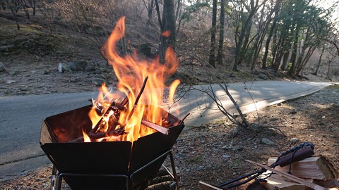 88-74(43-38)昭和の森一本松サイト883