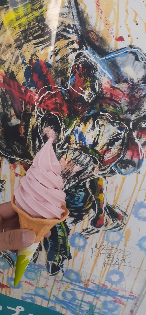 237-220(26-25)るるパーク1111_124700