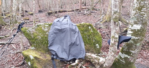 245-227(34-32)法華院温泉山荘103_105646