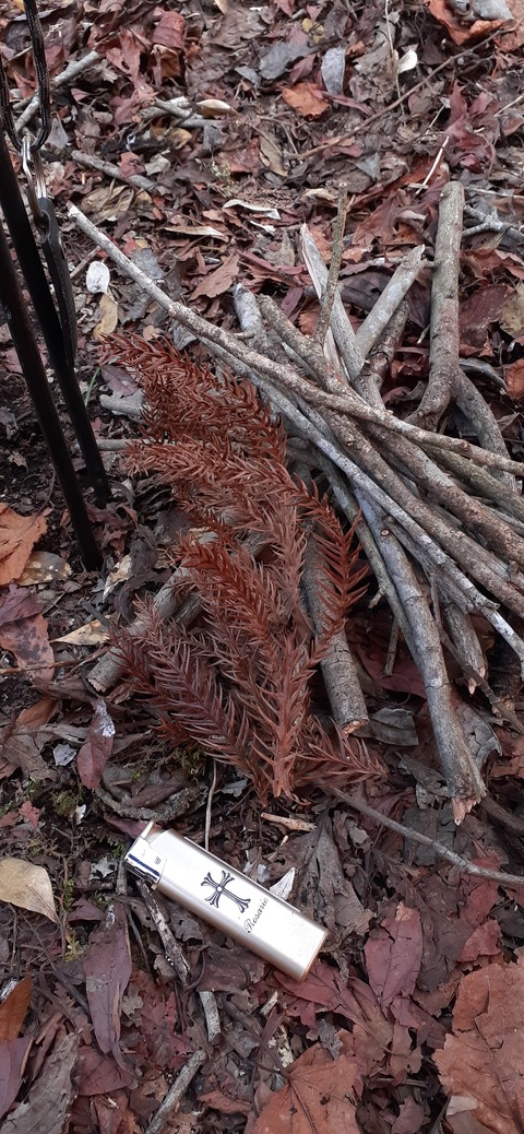 192-176(34-33)牧の原3121_145329