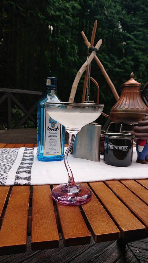 118-103(17-17)グランピングKAWASAKI２86S